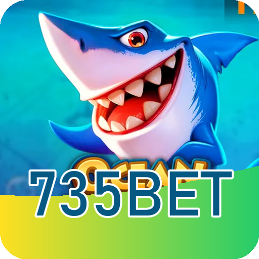 Verificação KYC 735bet