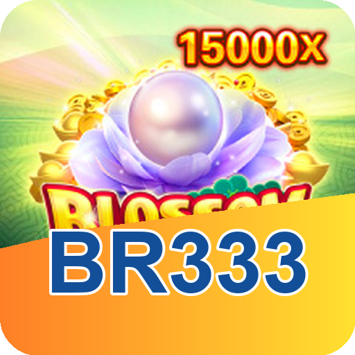 Formulário de Registro br333