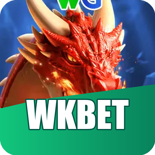 Verificação KYC wkbet