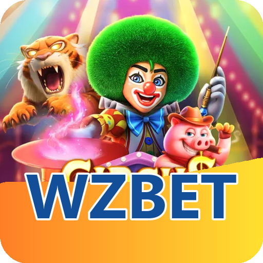 Verificação KYC wzbet
